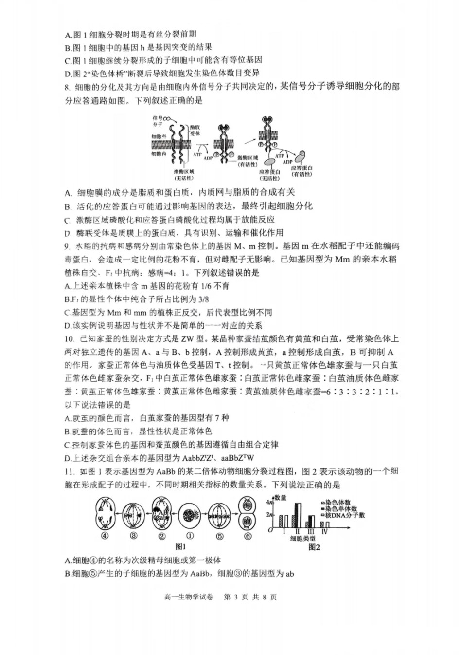 生物试卷【Top50强校】【重庆卷】【高一下期末考】重庆市巴蜀中学教育集团高2027届高一（下）期末考试(7.3-7.4).pdf_第3页