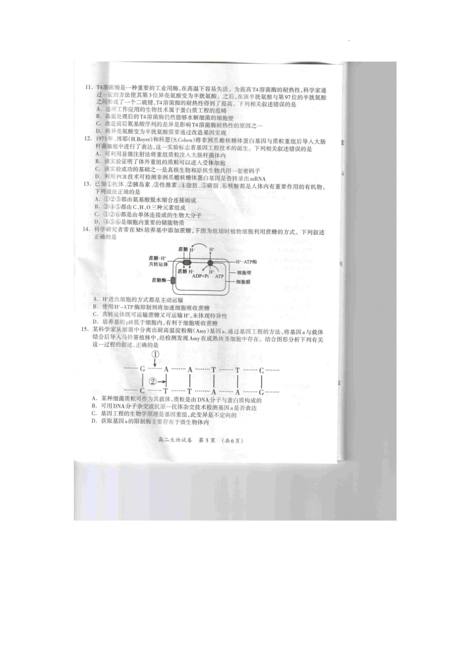 生物试卷【广西卷】【高二下期末考】广西壮族自治区桂林市2024-205学年度下学期高二年级期末教学质量检测（7.3-7.5）.pdf_第3页