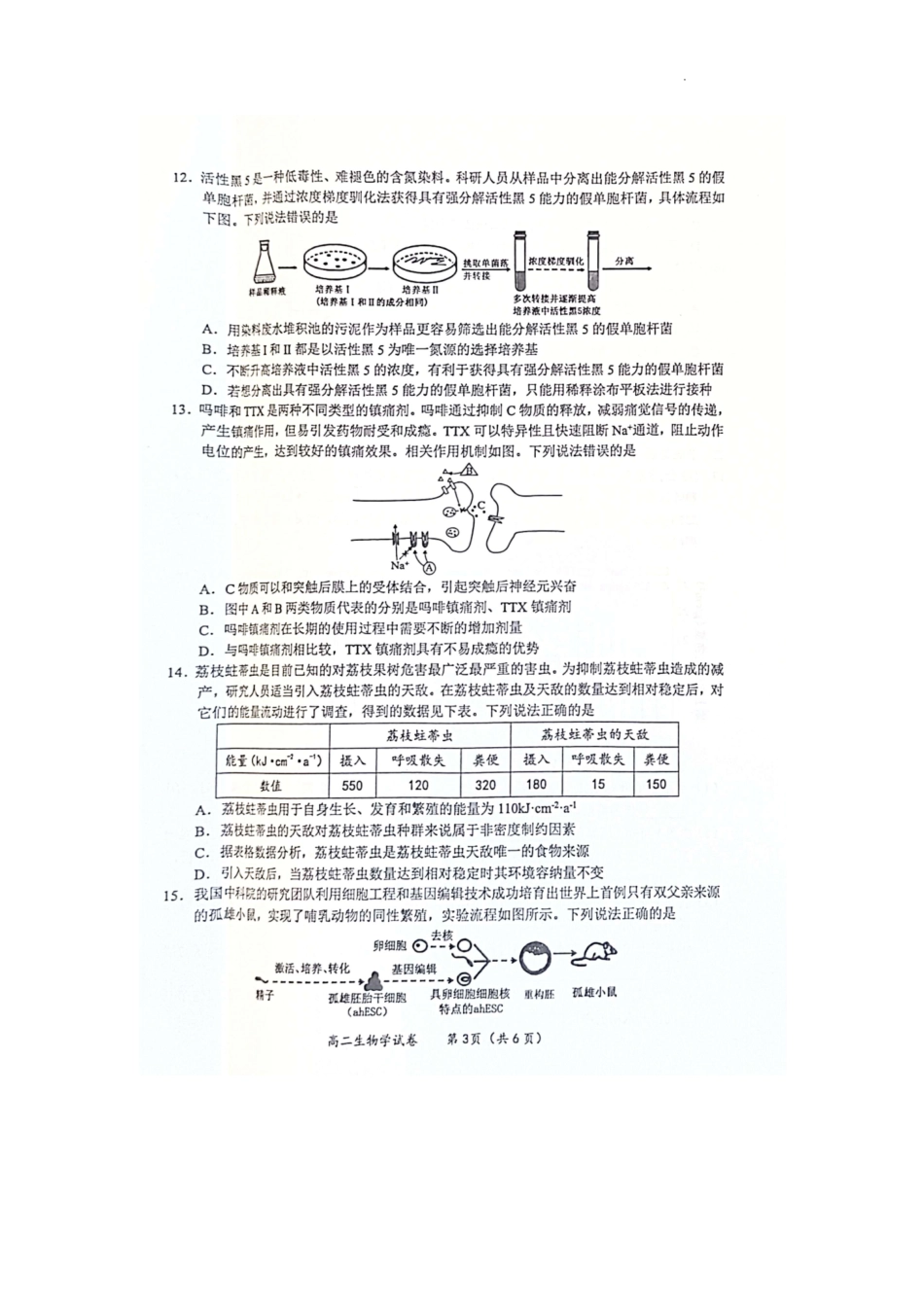 生物试卷【广西卷】【高一下期末考】广西壮族自治区玉林市2025年春季期高二期末教学质量监测（7.2-7.4）.pdf_第3页