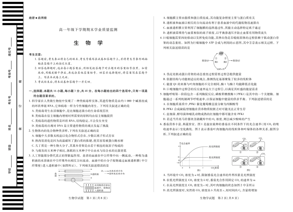 生物试卷【河南卷】【高一下期末考】河南省天一大联考2024-2025高一年级下学期期末学业质量监测（7.9-7.10）.pdf_第1页