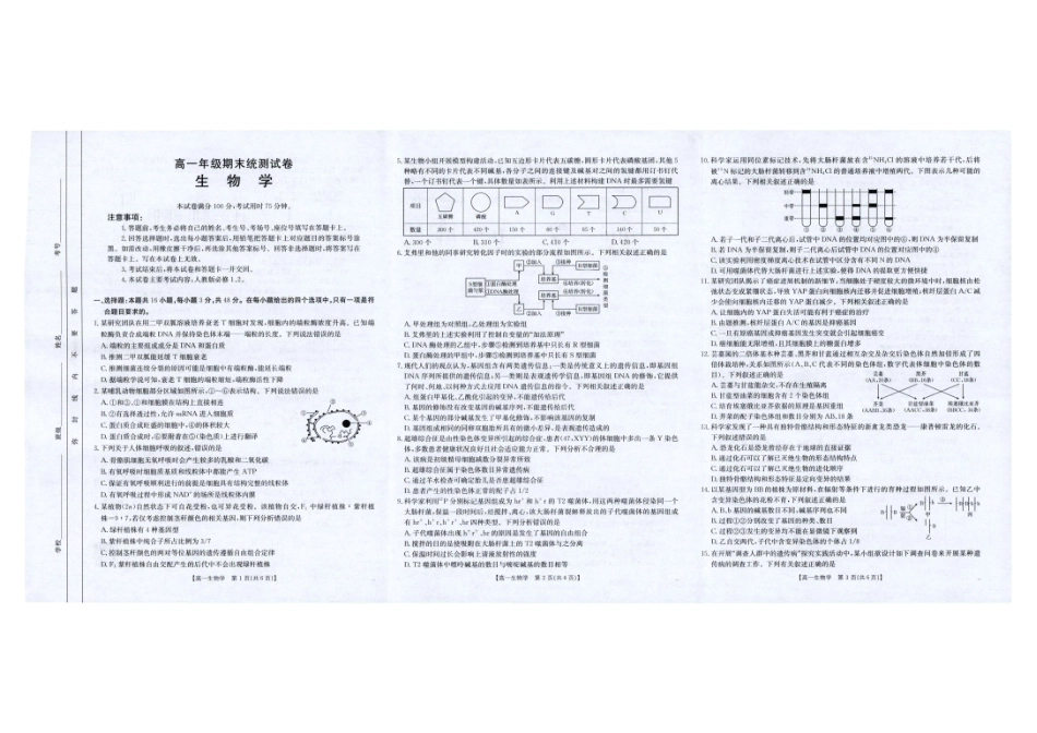 生物试卷【云南卷】【高一下期末考】云南省金太阳临沧市2024-2025学年下学期高一期末质量测试（25-582A）（7.4-7.5）.pdf_第1页