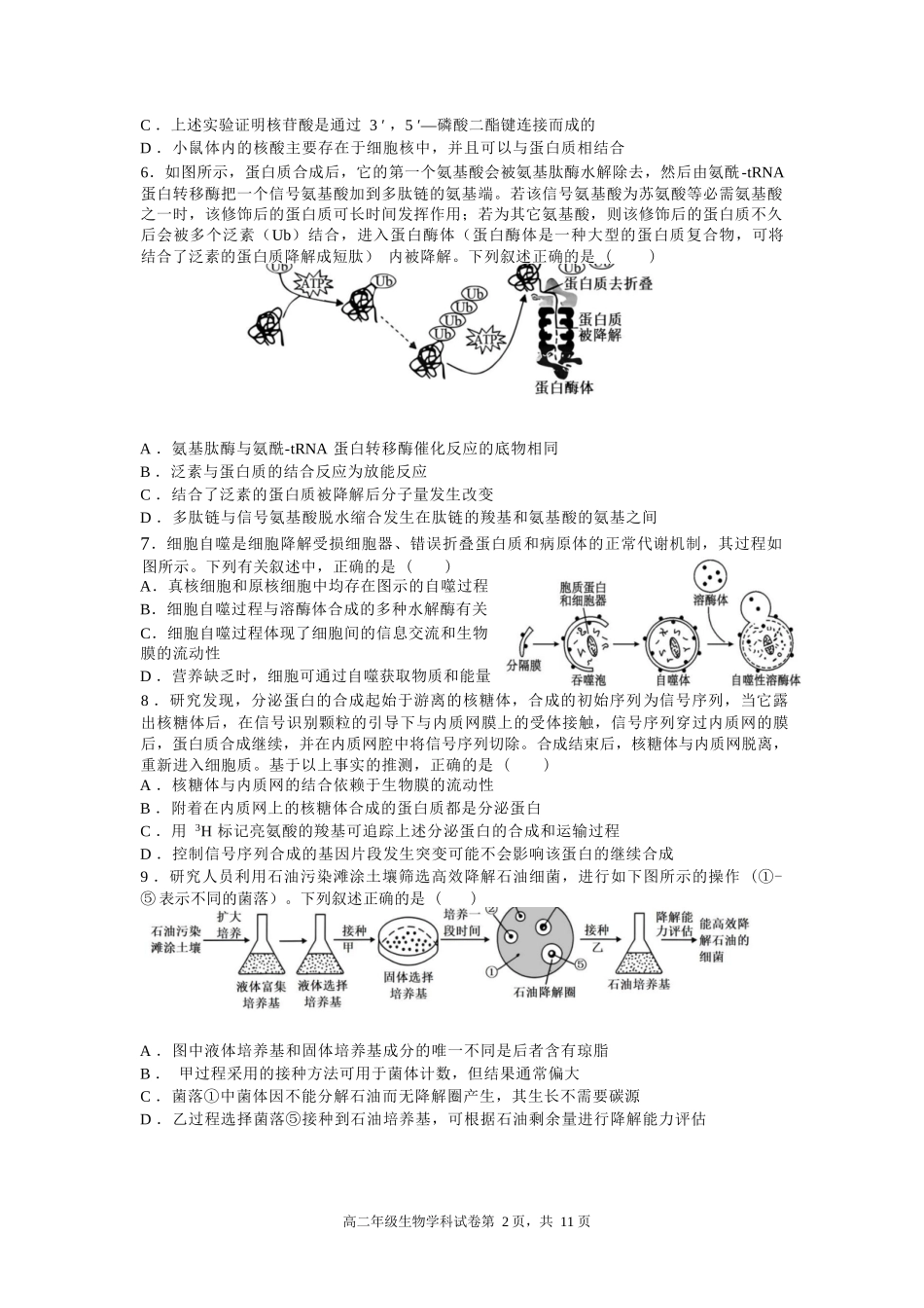 生物试卷+答案【Top25强校】【黑吉辽蒙卷】【高二】辽宁省沈阳市东北育才学校2024-2025学年度下学期高二年级第二次月考(6.4-6.5).docx_第2页