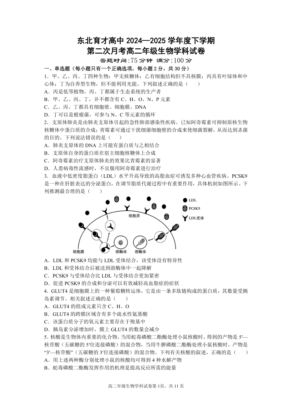 生物试卷+答案【Top25强校】【黑吉辽蒙卷】【高二】辽宁省沈阳市东北育才学校2024-2025学年度下学期高二年级第二次月考(6.4-6.5).pdf_第1页