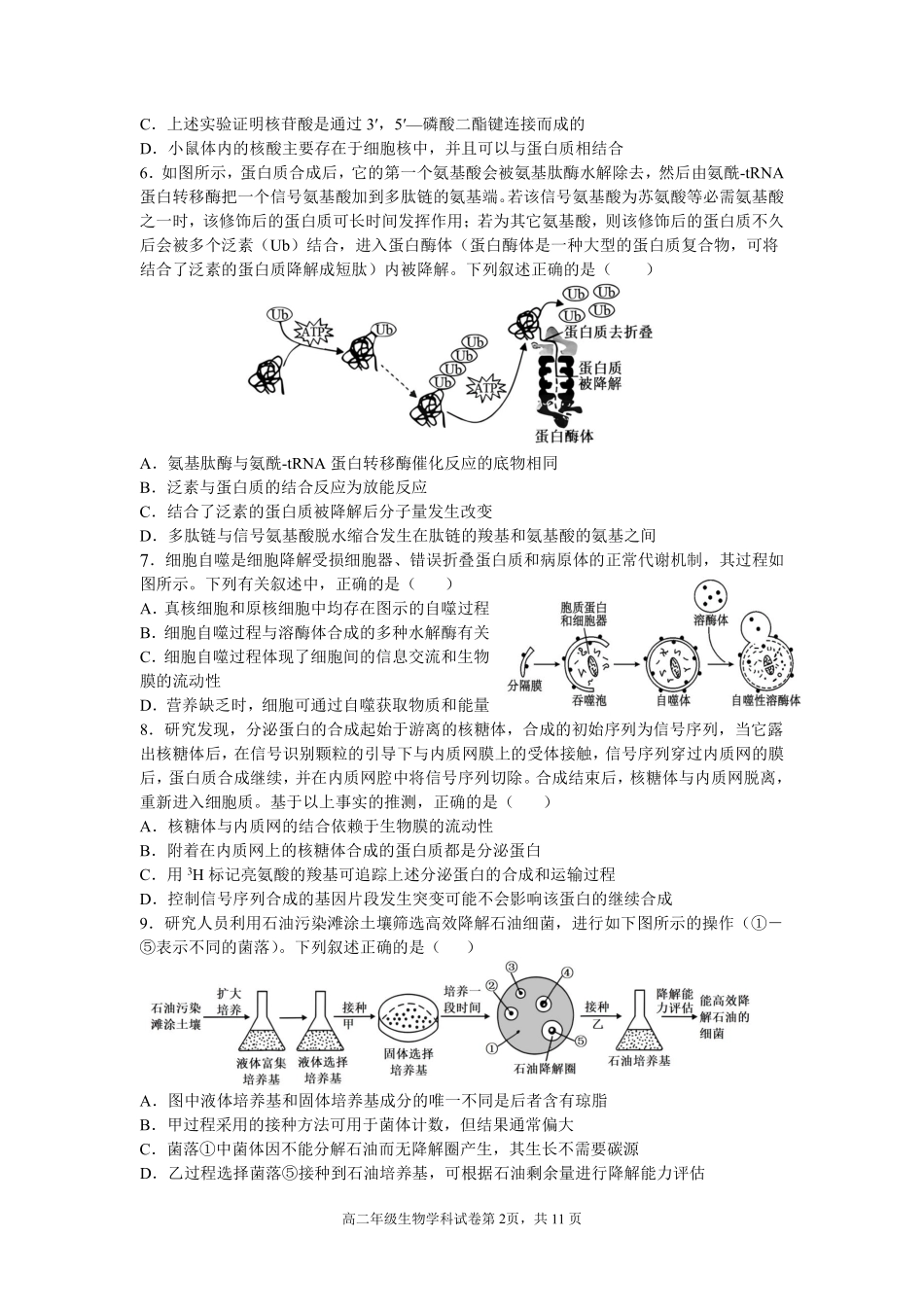 生物试卷+答案【Top25强校】【黑吉辽蒙卷】【高二】辽宁省沈阳市东北育才学校2024-2025学年度下学期高二年级第二次月考(6.4-6.5).pdf_第2页