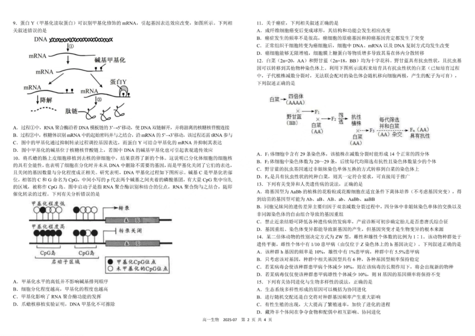 生物试卷+答案【百强校】【四川卷】【高一下期末考】四川省成都市树德中学高2024级(2027)届高一下期期末测试(7.3-7.4).pdf_第2页