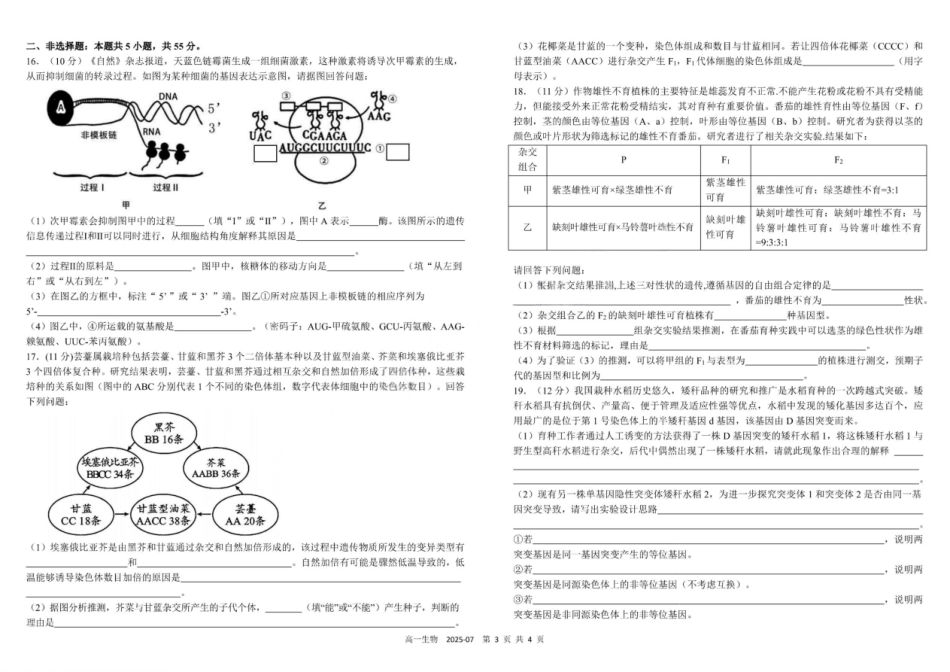 生物试卷+答案【百强校】【四川卷】【高一下期末考】四川省成都市树德中学高2024级(2027)届高一下期期末测试(7.3-7.4).pdf_第3页
