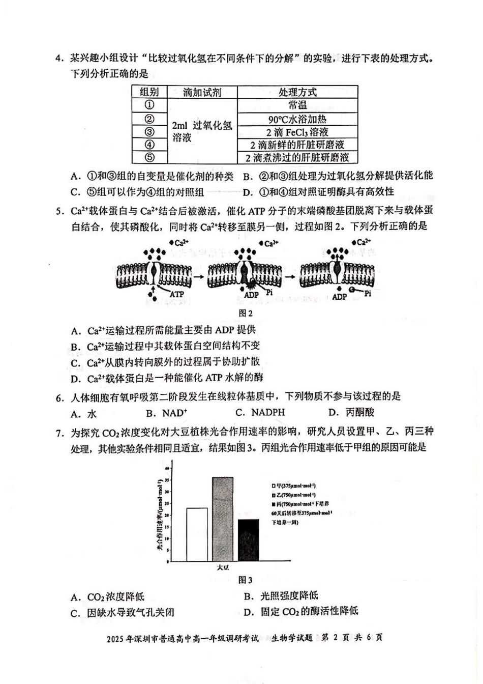 生物试卷+答案【广东卷】【高一下期末考】广东省深圳市2025年普通高中高一年级下学期7月调研考试（7.2-7.4）.pdf_第2页