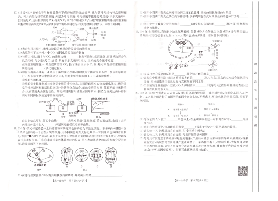 生物试题卷【安徽卷】【高一下期末考】安徽省阜阳市2024-2025学年高一年级下学期7月教学质量统测（金太阳25-529A）（7.3-7.4）.pdf_第3页