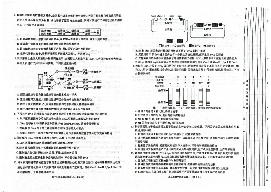 生物试题卷+答案【西北卷】【高二下期末考】陕西省西安市新城区2024-2025学年高二下学期7月期末质量检测（7.3-7.5）.pdf_第2页