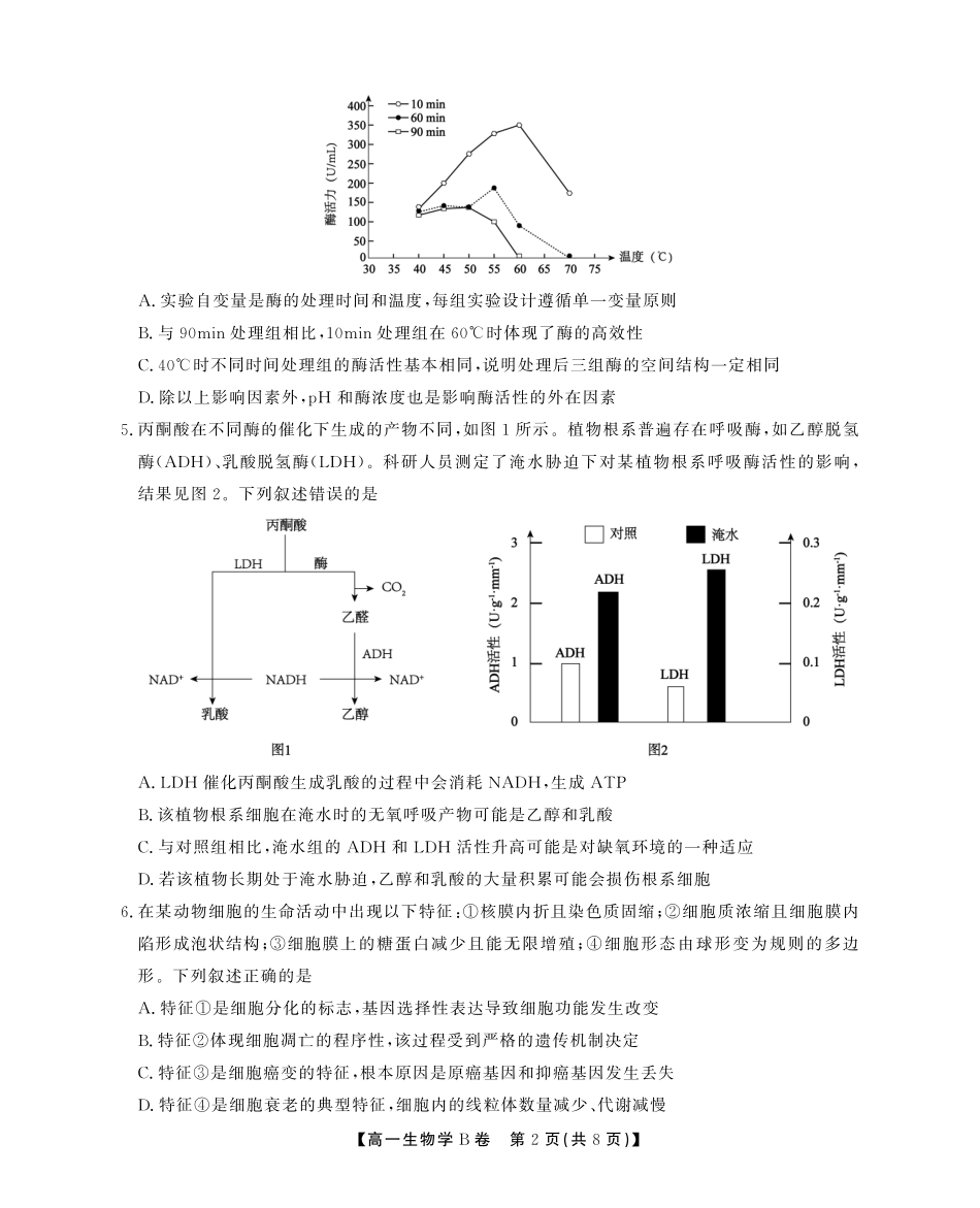 生物学(B卷)试卷SY(鼎尖教育)【安徽卷】【高一下期末考】安徽省江淮协作区(鼎尖教育)2024-2025学年高一下学期期末联合监测（7.7-7.9）.pdf_第2页