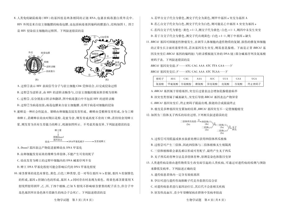 天一大联考2024-2025学年高一下学期6月摸底考试(HN)(8K,4页)生物学高一下年级摸底考试单色.pdf_第2页