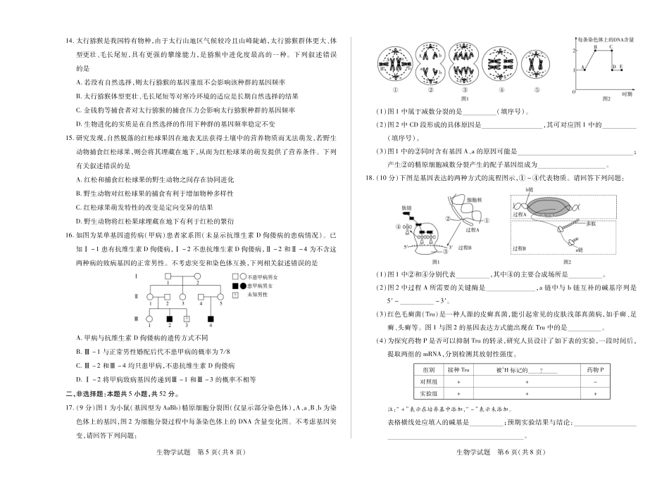 天一大联考2024-2025学年高一下学期6月摸底考试(HN)(8K,4页)生物学高一下年级摸底考试单色.pdf_第3页