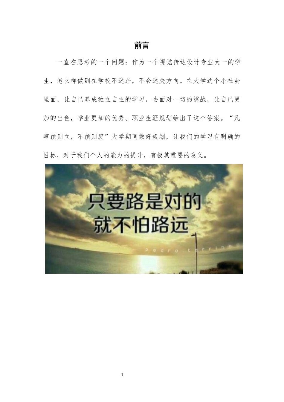 1视觉传达设计专业-大学生职业规划书6.docx_第3页