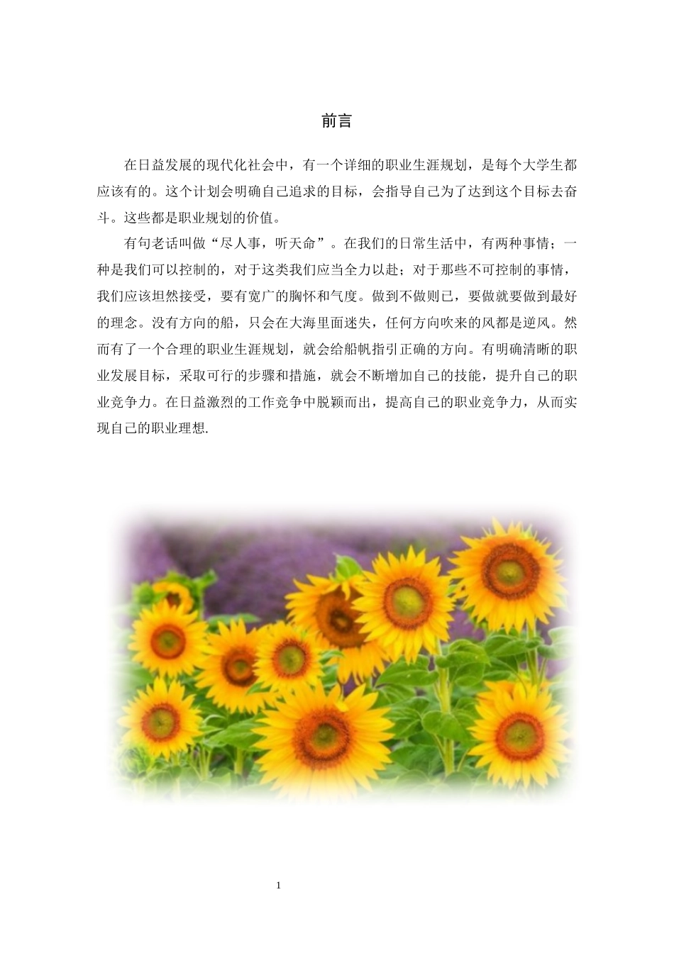 1材料物理专业-大学生职业规划书.docx_第3页