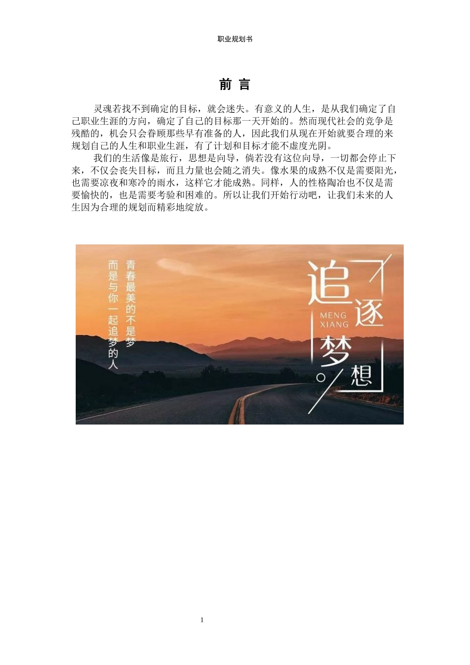 1汉语国际教育专业-大学生职业规划书.docx_第3页