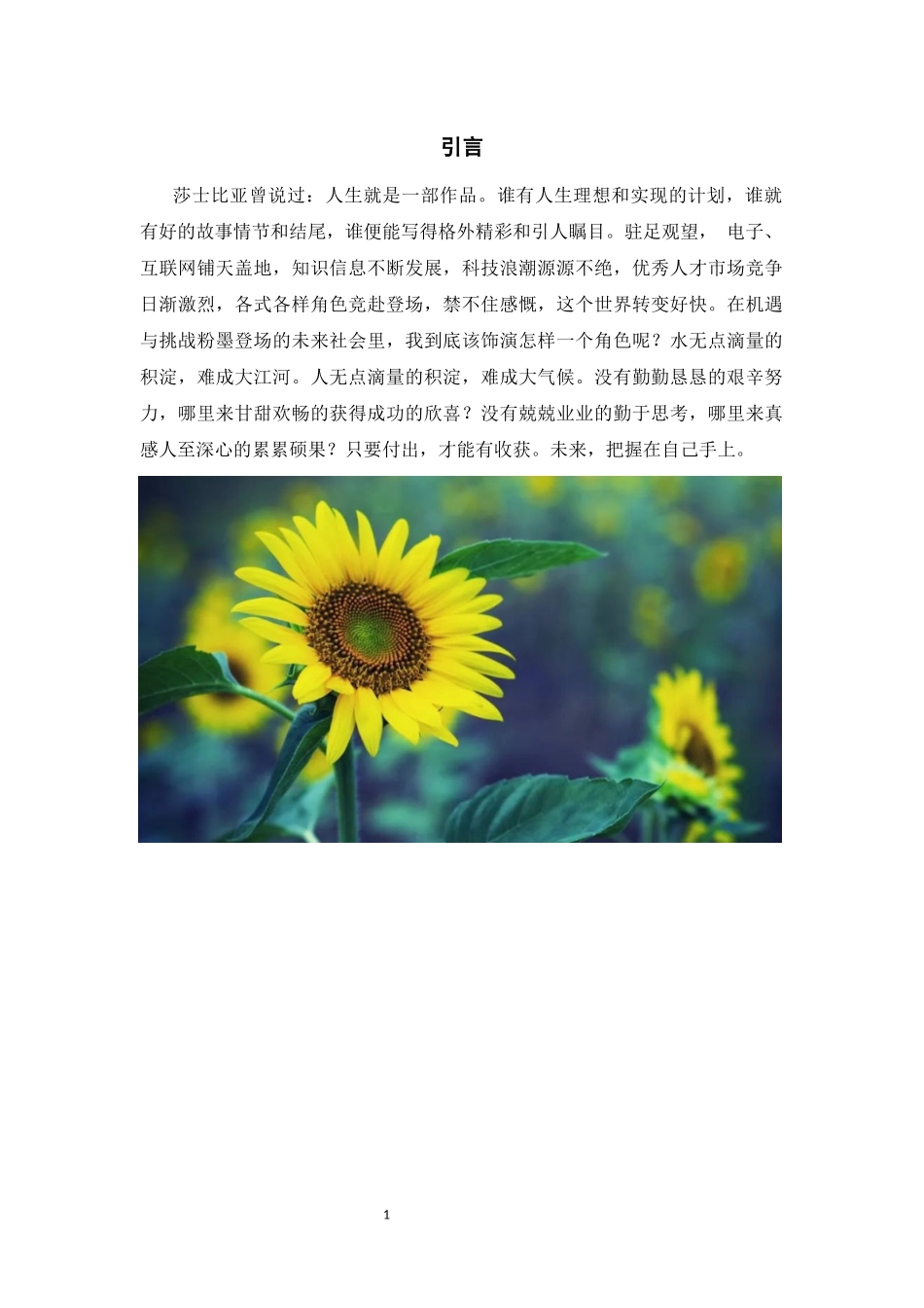 1环境艺术设计专业-大学生职业生涯规划书2.docx_第3页