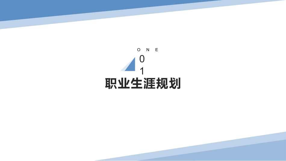 1多媒体专业专业-大学生职业生涯规划书.pptx_第3页