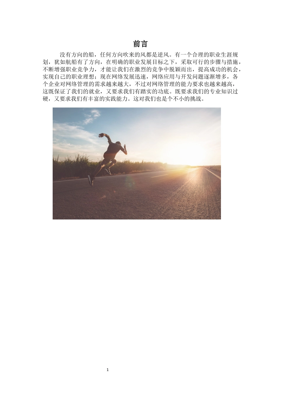 1软件与信息服务专业-大学生职业规划书.docx_第3页