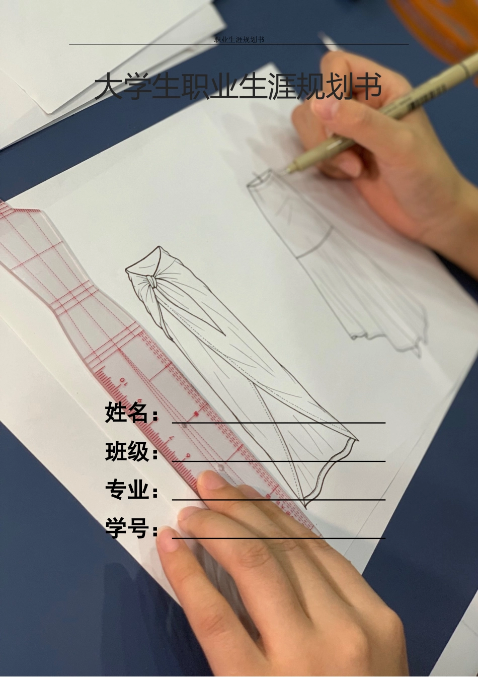 1服装与服饰设计专业-大学生职业规划书2.docx_第1页