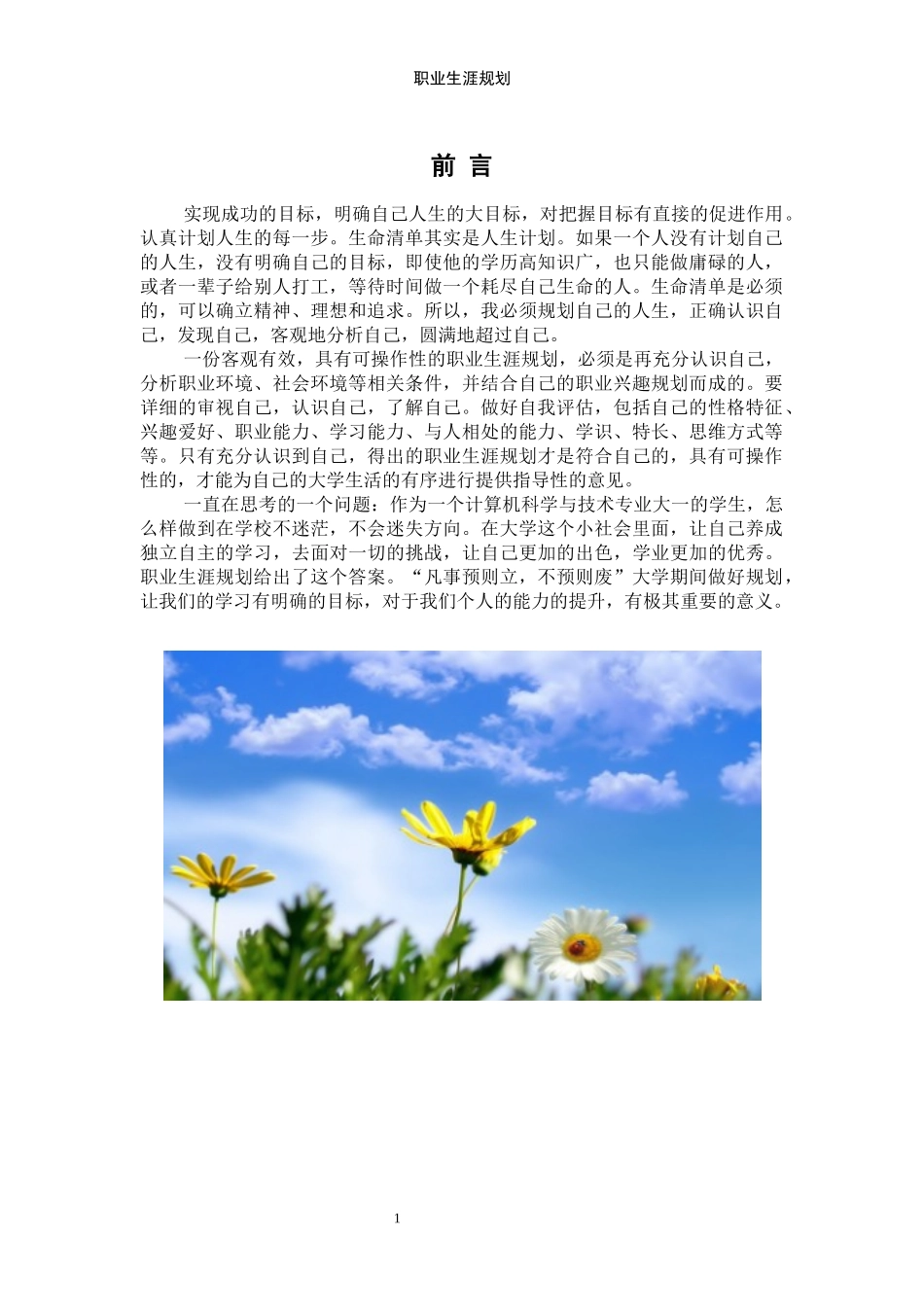 1计算机科学与技术专业-大学生职业生涯规划书11.docx_第3页