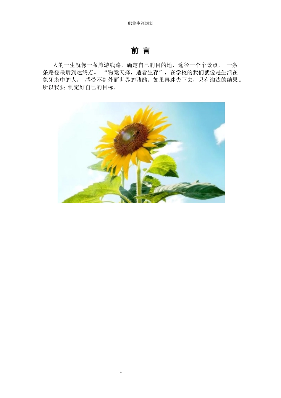 1舞蹈学专业-大学生职业规划书.docx_第3页