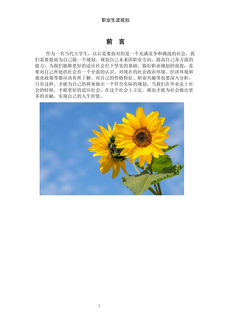 景观设计专业-大学生职业生涯规划书.docx_第3页
