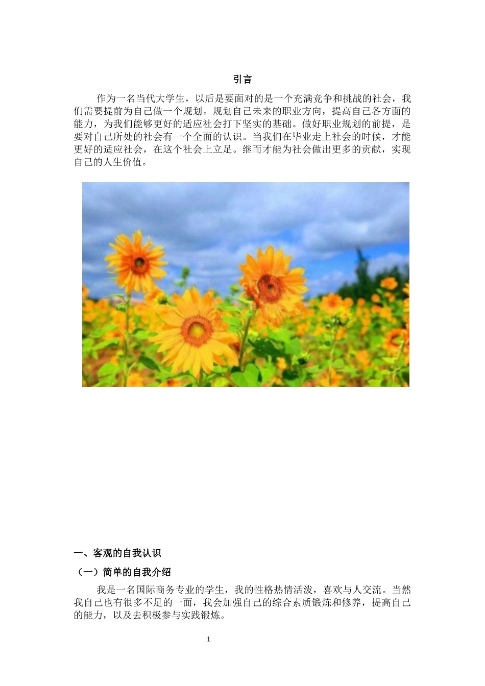 国际商务专业-大学生职业生涯规划书3.docx_第3页