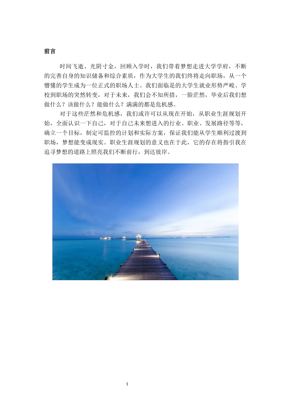 1环境艺术设计专业-大学生职业规划书(2).docx_第3页