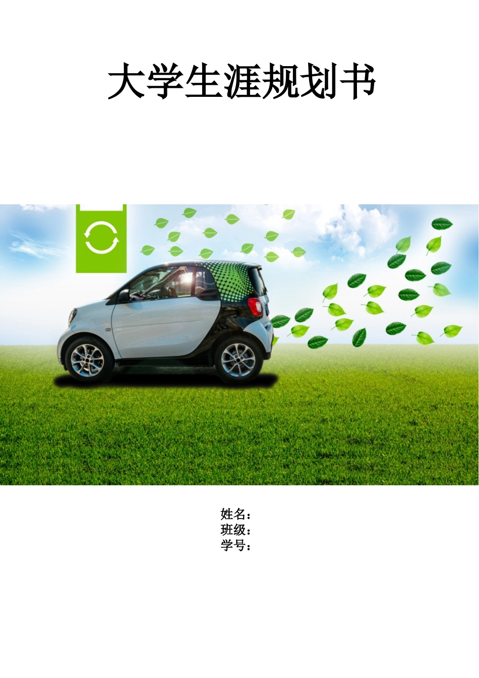 1新能源汽车技术专业-大学生职业生涯规划书(1).doc_第1页