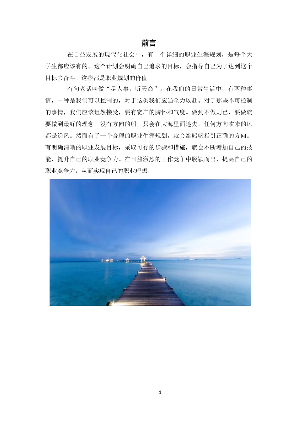 1电子信息类专业-大学生职业规划书(1).doc_第3页