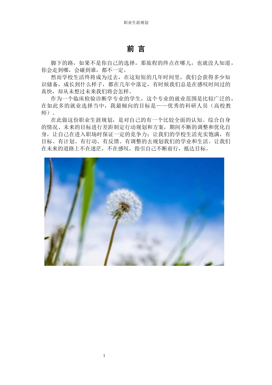 1临床检验诊断学专业-大学生职业生涯规划书.docx_第3页