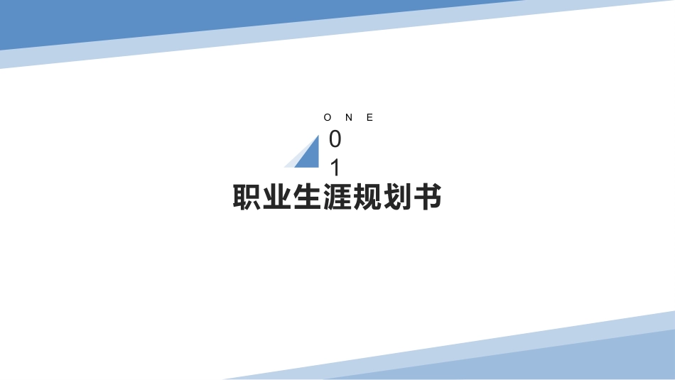 1数学与应用数学专业-大学生职业生涯规划书.pptx_第3页