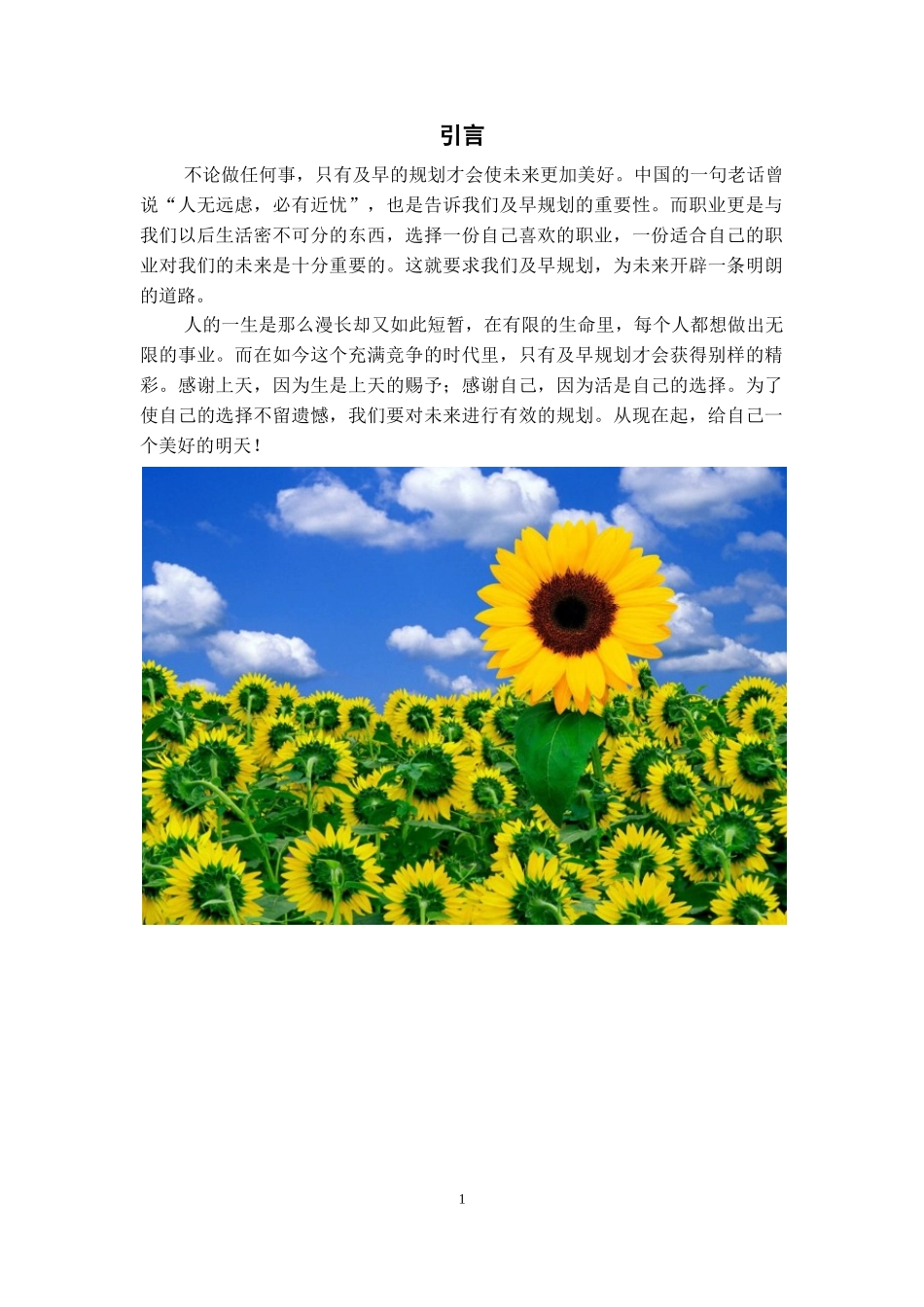 1学前教育专业-大学生职业生涯规划书1(1).doc_第3页