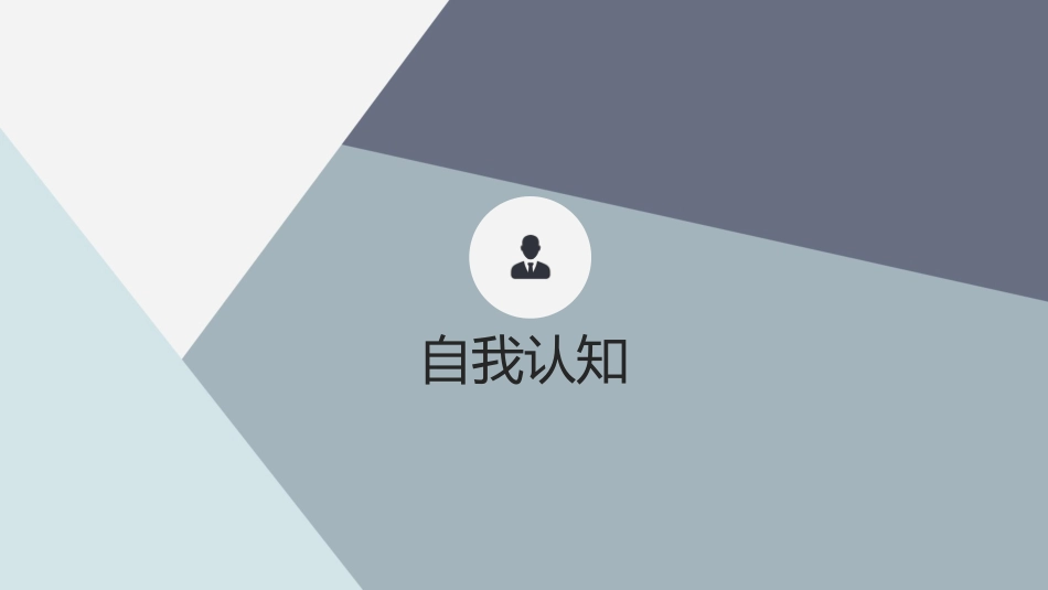 大数据与会计专业-大学生职业生涯规划书3.pptx_第3页