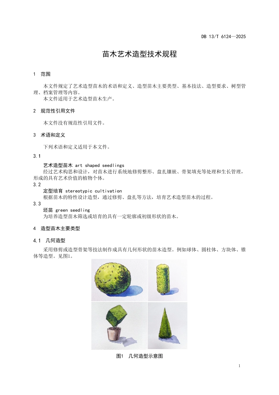 DB13T 6124—2025 苗木艺术造型技术规程.pdf_第3页