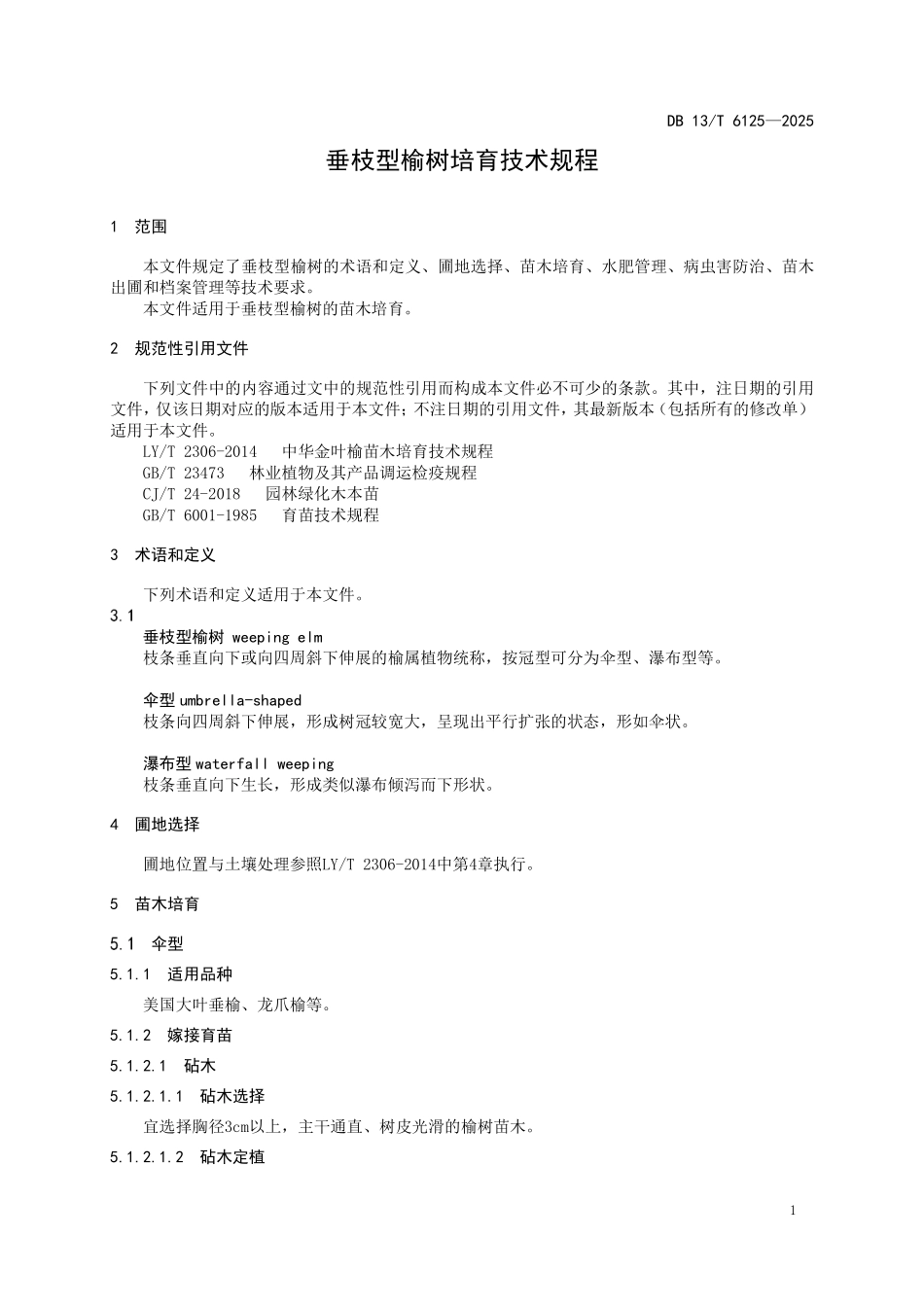 DB13T 6125—2025 垂枝型榆树培育技术规程.pdf_第3页