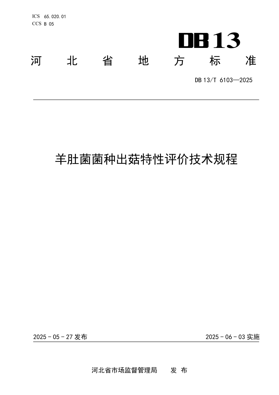 DB 13T 6103—2025 羊肚菌菌种出菇特性评价技术规程.pdf_第1页