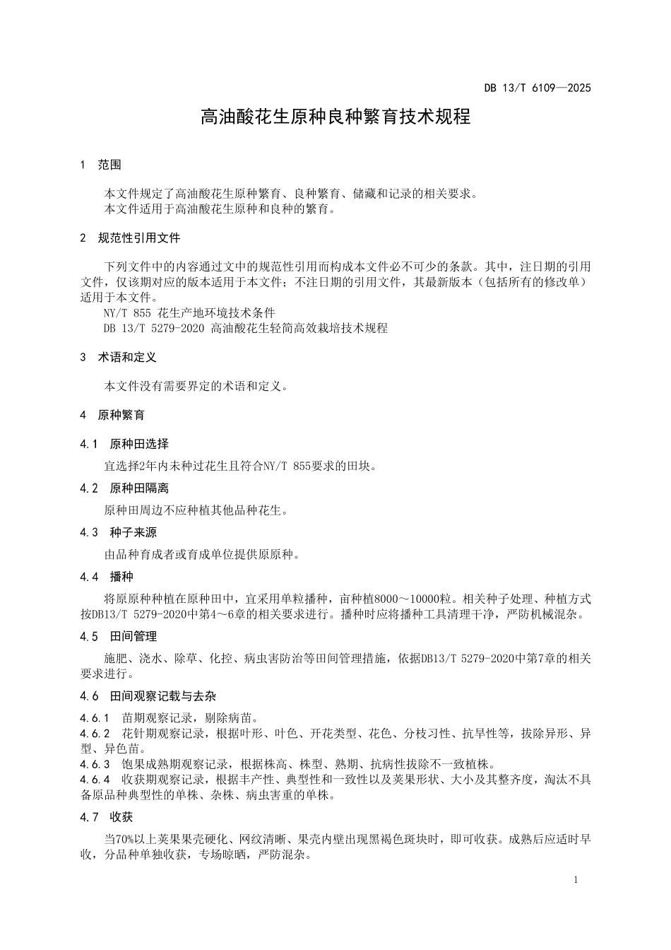 DB 13T 6109—2025 高油酸花生原种良种繁育技术规程.pdf_第3页