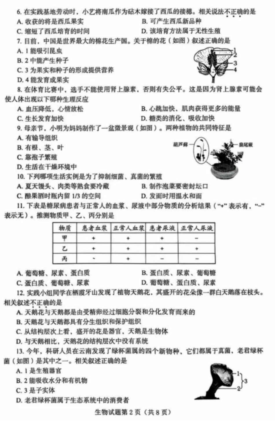2025烟台中考生物真题试卷.pdf_第2页