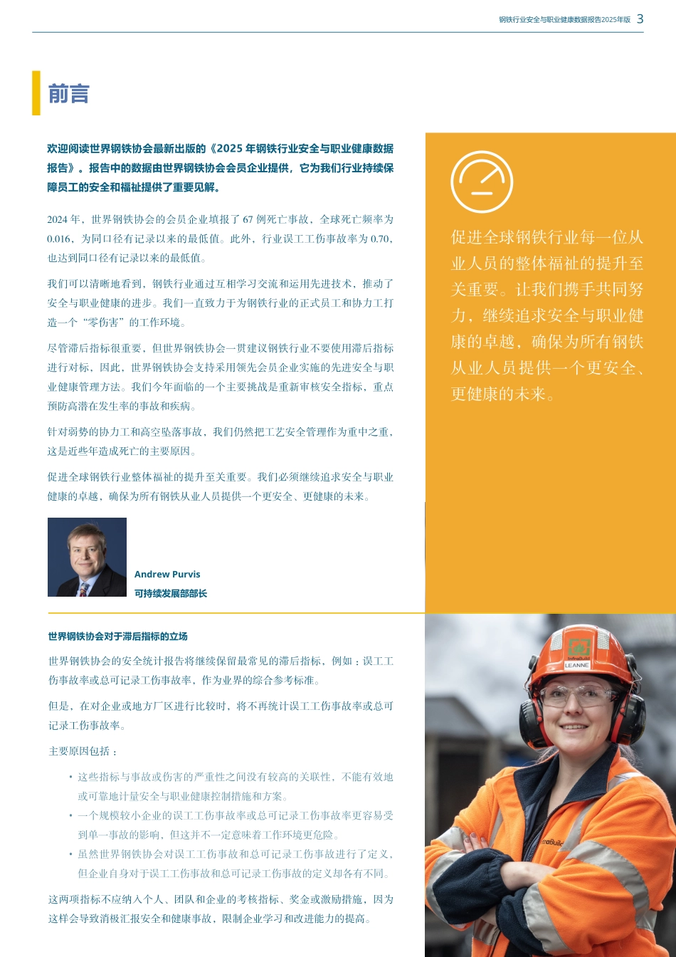 2025年版钢铁行业安全与职业健康数据报告.pdf_第3页