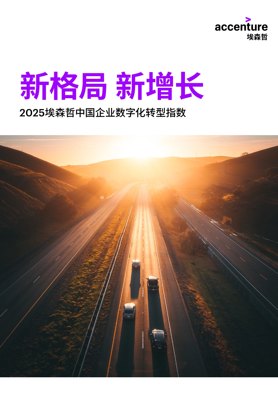 2025中国企业数字化转型指数报告.pdf_第1页