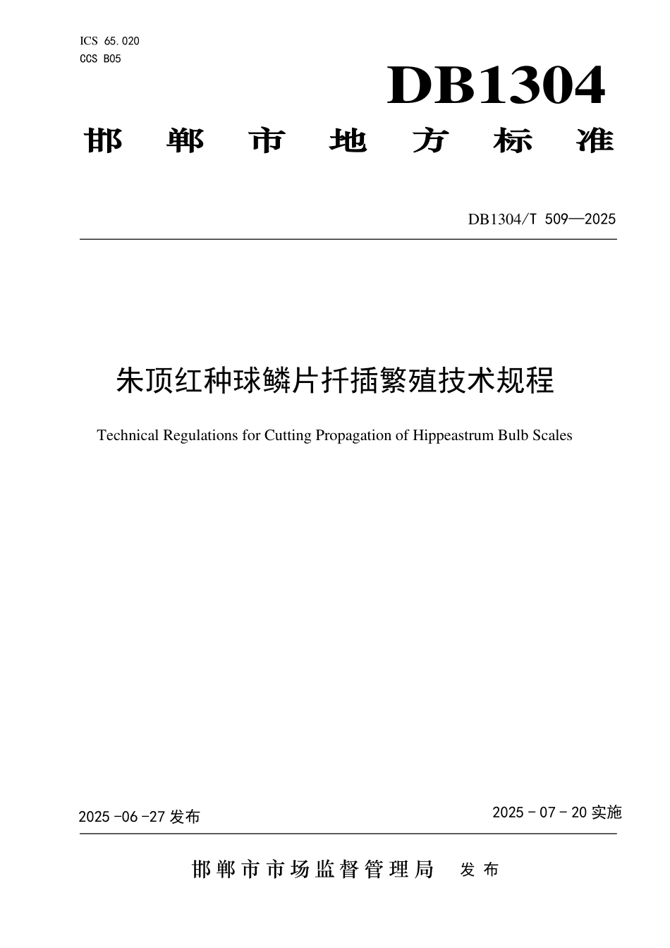 DB1304T 509—2025 朱顶红种球鳞片扦插繁殖技术规程.pdf_第1页