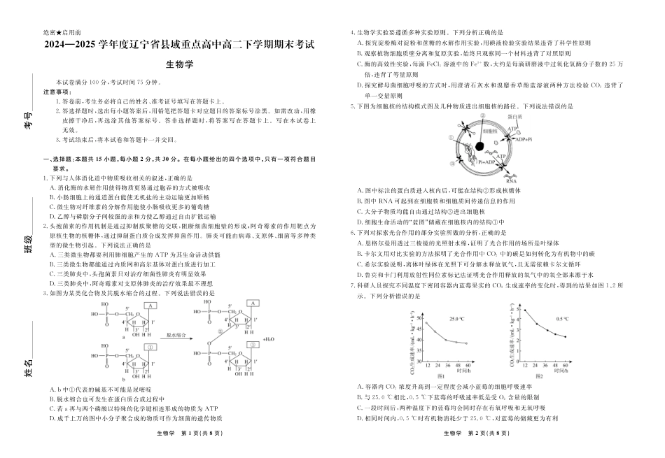 【生物】辽宁省县域重点高中2024-2025学年度高二下学期期末考试.pdf_第1页
