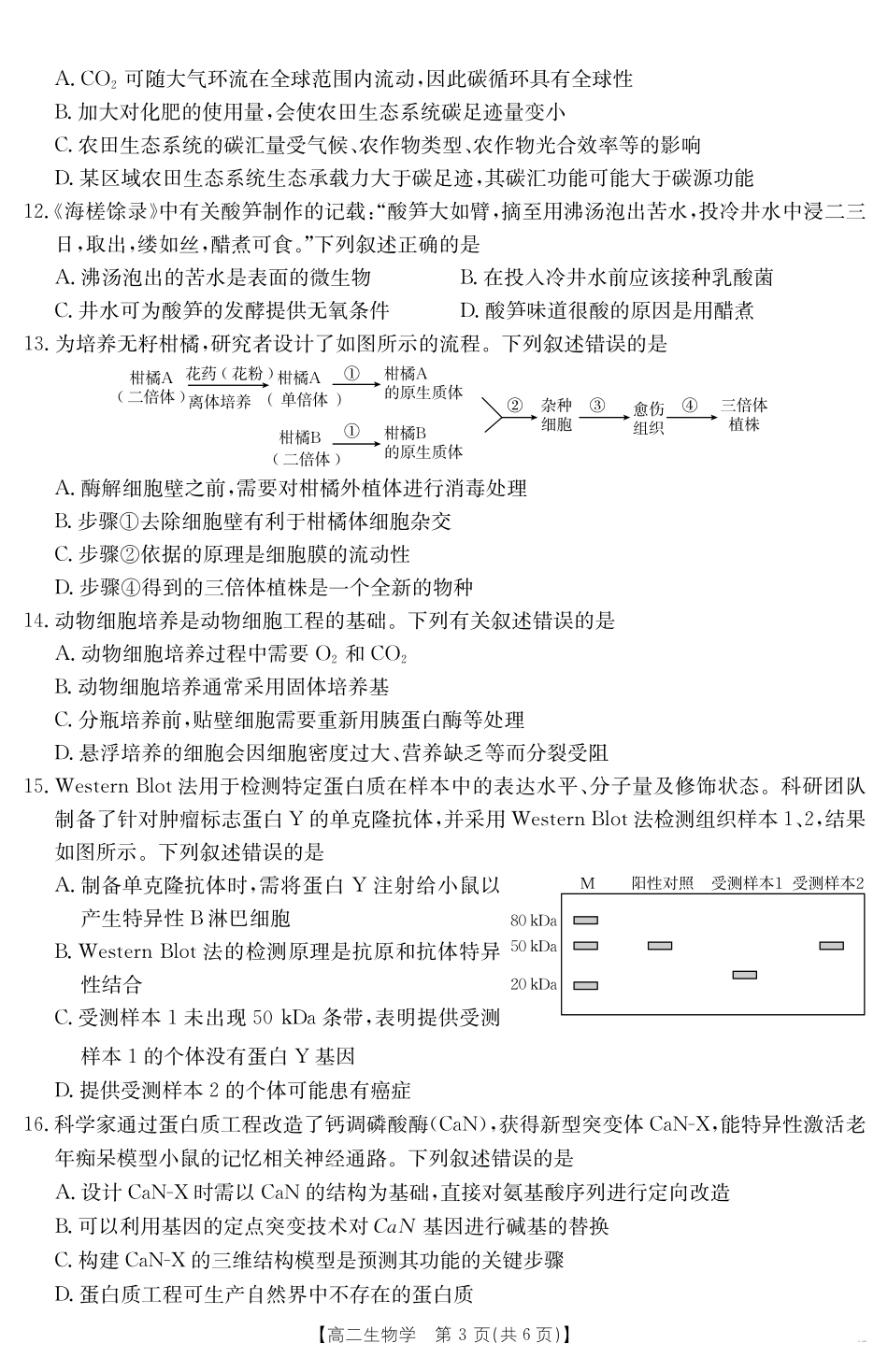 甘肃省天水市2024-2025学年高二下学期7月阶段性检测生物.pdf_第3页