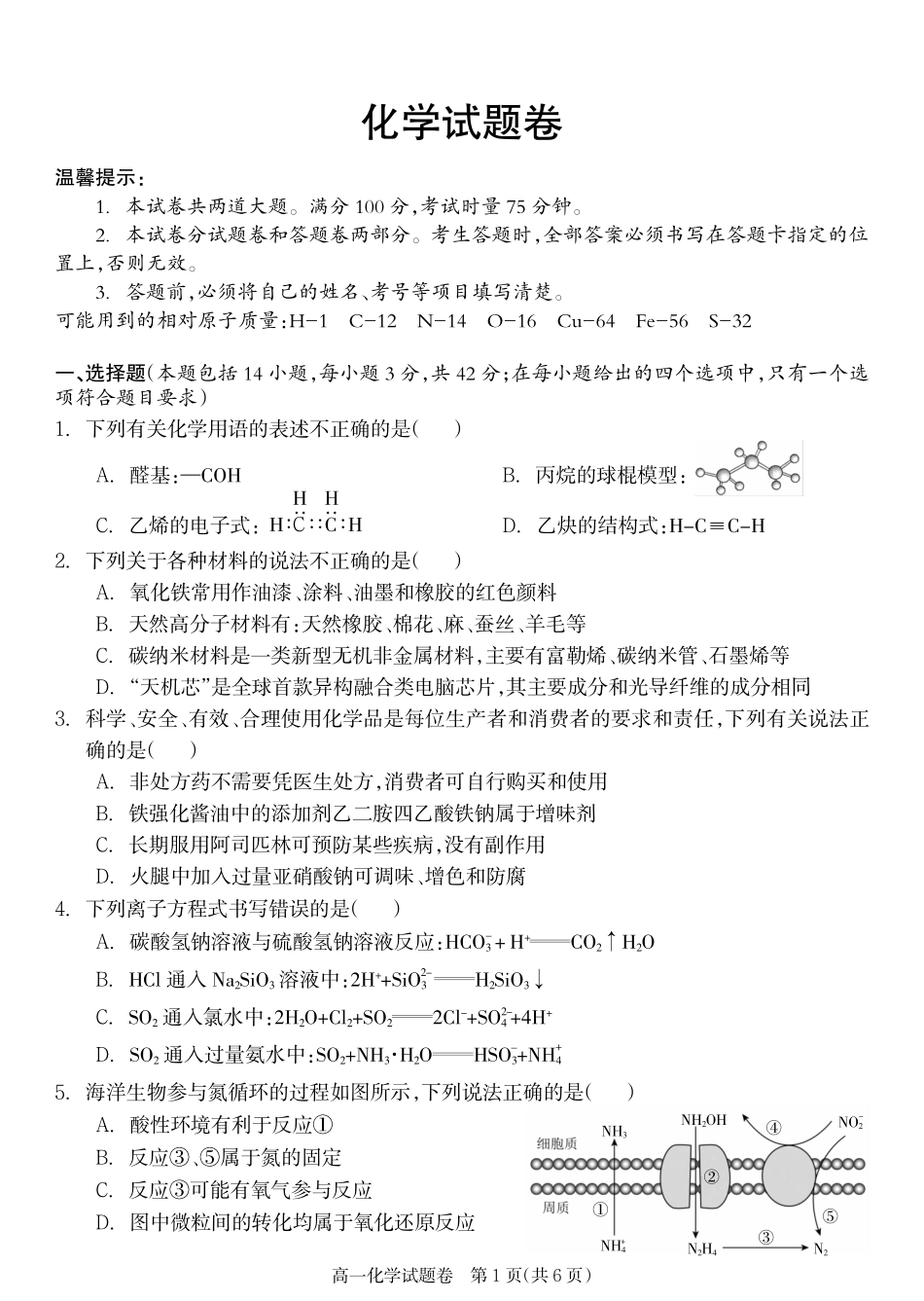 湖南省邵阳市新邵县2024-2025学年高一下学期期末质量检测化学.pdf_第1页