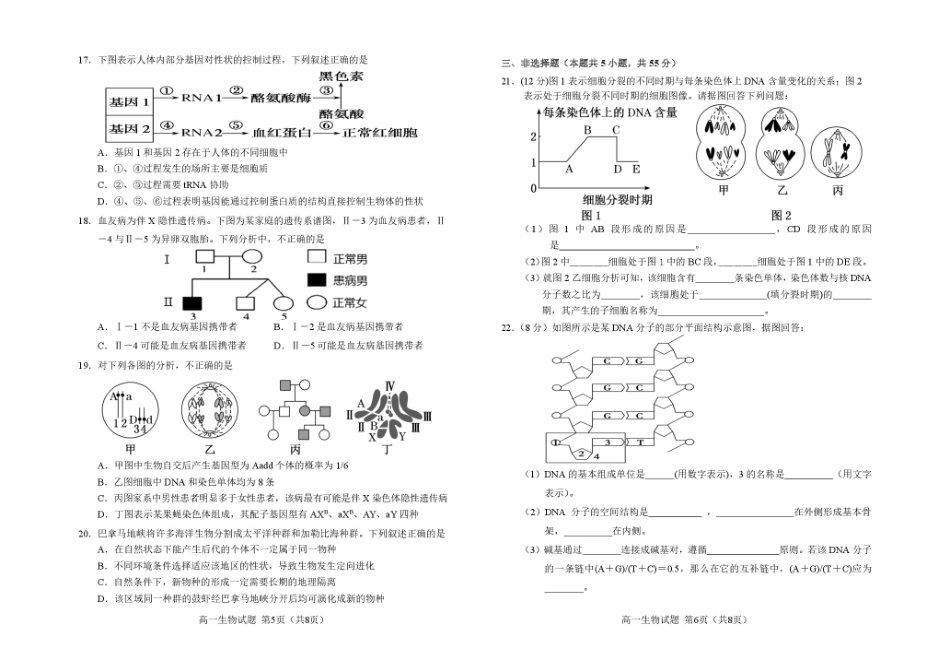 吉林地区普通高中友好学校联合体2024-2025学年高一下学期期末考试生物试卷.pdf_第3页