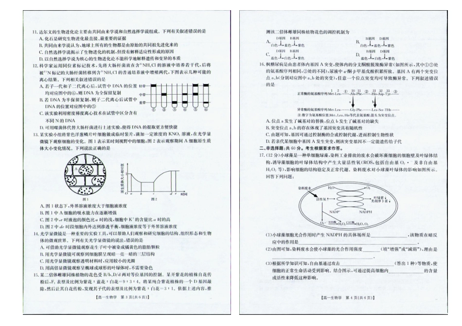 南宁市2024-2025学年高一下学期期末教学质量监测生物.pdf_第2页