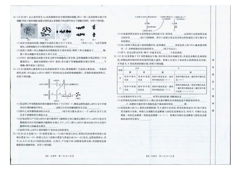南宁市2024-2025学年高一下学期期末教学质量监测生物.pdf_第3页