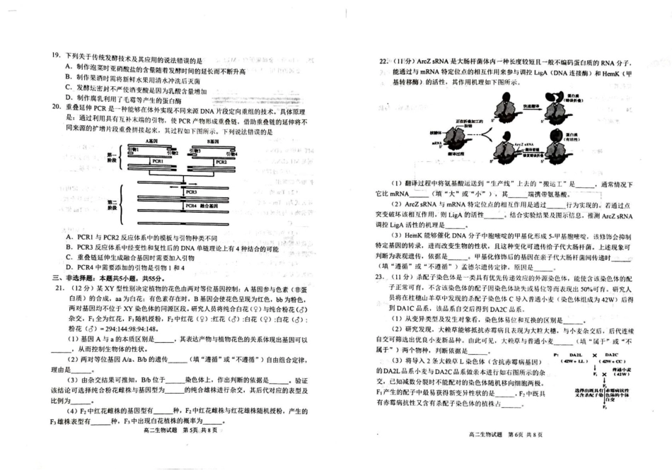 山东省威海市2024-2025学年高二下学期期末考试生物.pdf_第3页