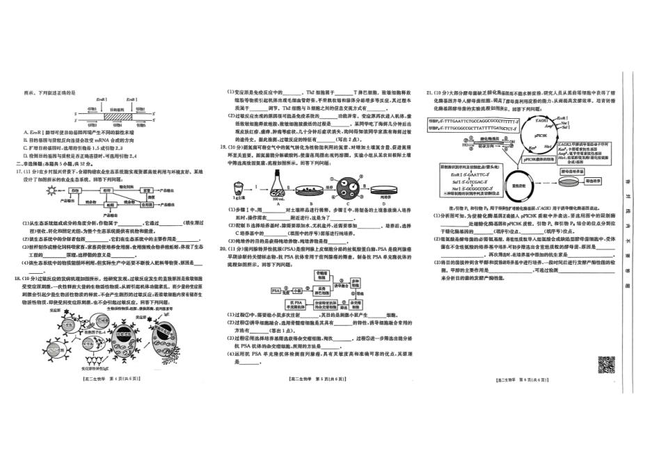 生物试卷【高二下期末考】甘肃省庆阳市金太阳2024-2025学年高二下学期期末诊断（25-583B）（7.14左右）.pdf_第2页